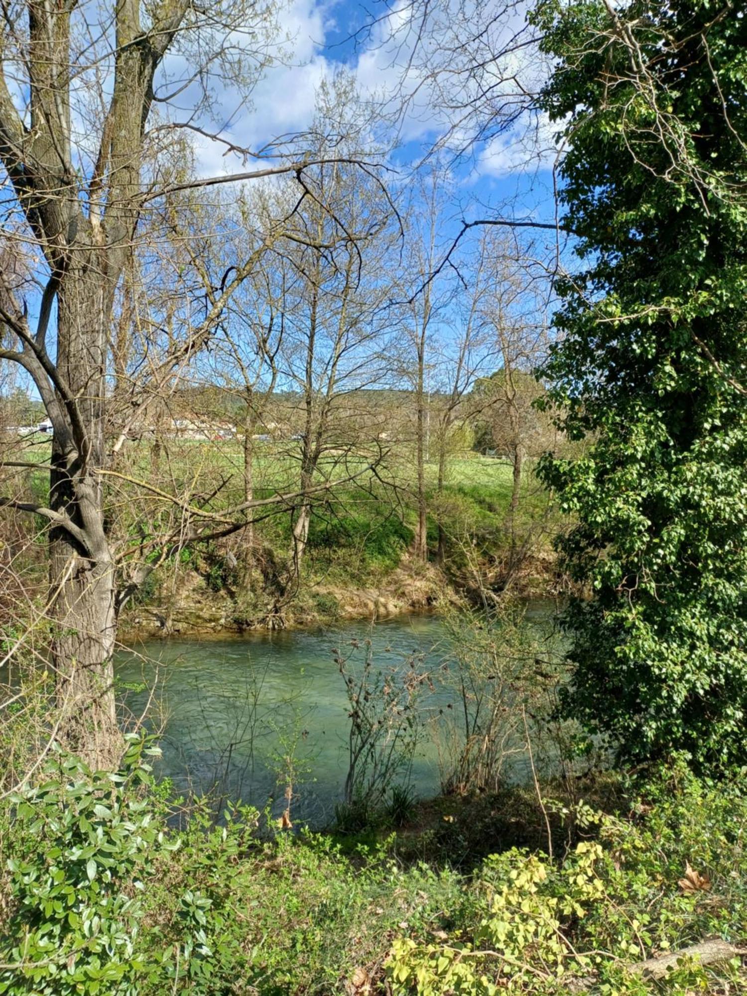 Homestay 10m2, Terrasse 18m2 , Parking, Piscine Et Accueille Les Animaux