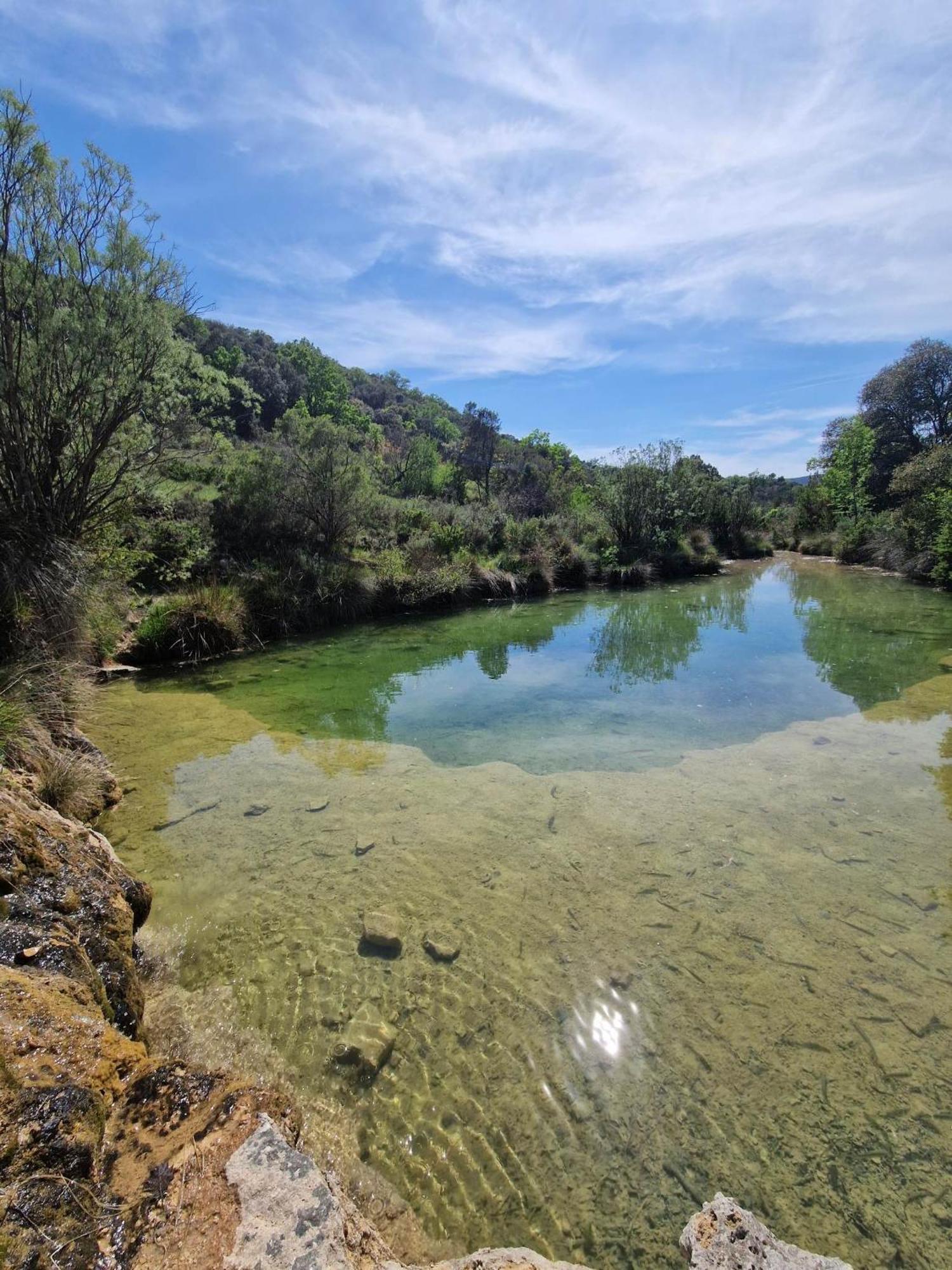 10m2, Terrasse 18m2 , Parking, Piscine Et Accueille Les Animaux Homestay Quissac (Gard)
